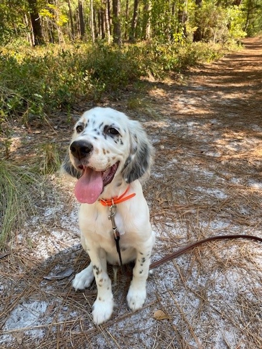 Asher smiling for the camera on a local hiking trail